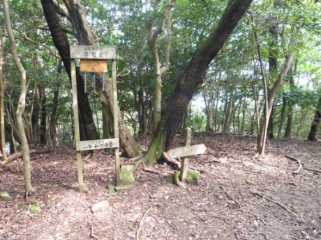 画像30